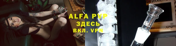 дмт Костерёво