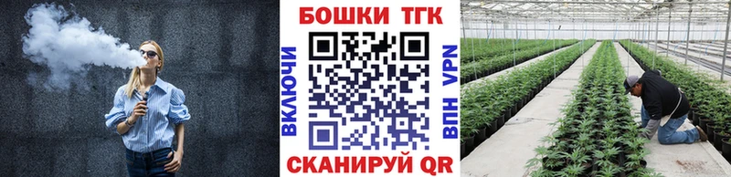 Шишки марихуана конопля  Луга 